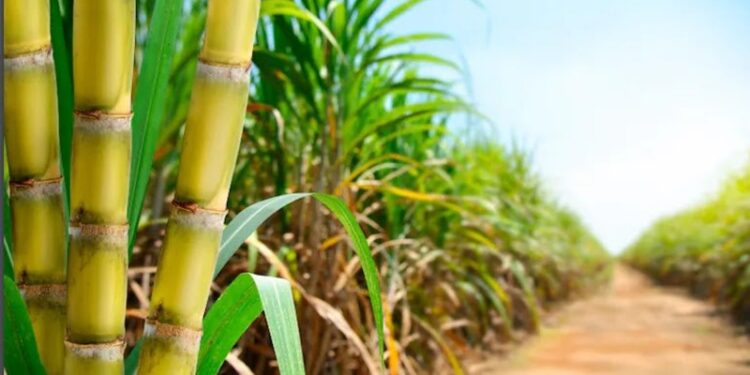 529620641_726415886881901_8192230775920791968_n