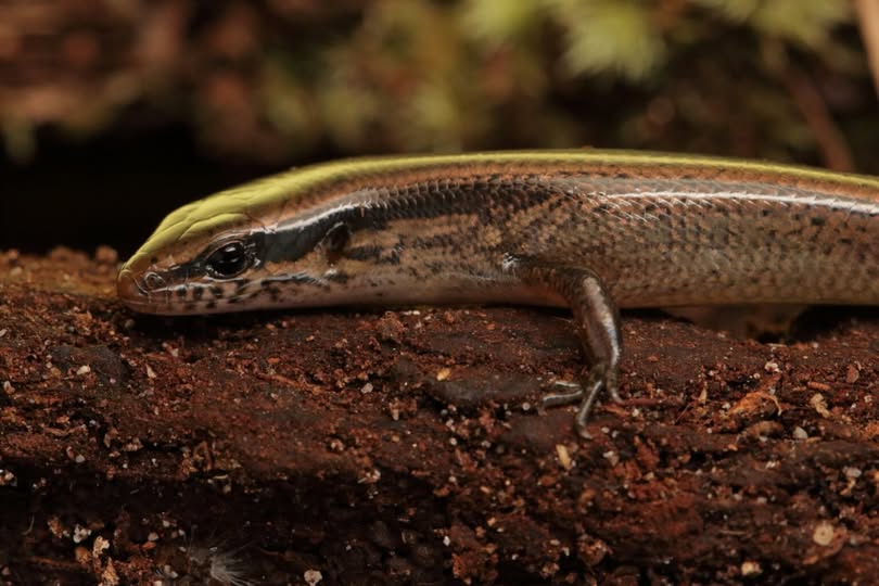 533255677_122264876522031697_6994466996381029154_n