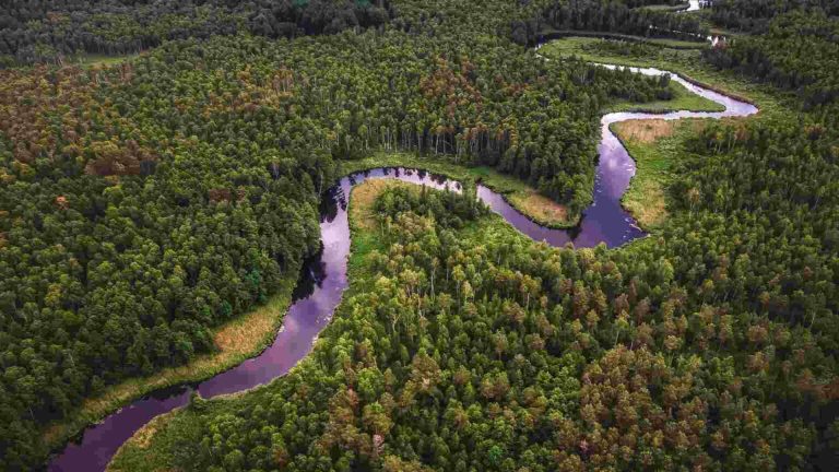 el-rio-amazonas-se-aleja-de-colombia-y-es-cada-vez-mas-peruano-1536x864