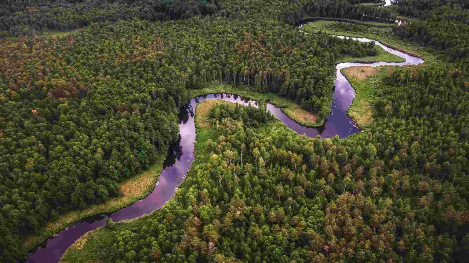 el-rio-amazonas-se-aleja-de-colombia-y-es-cada-vez-mas-peruano-1536x864