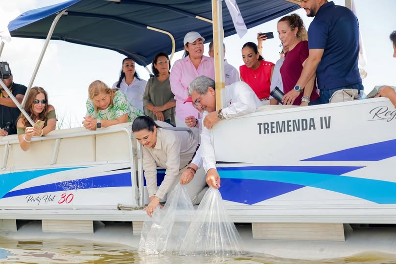 556495751_786402064145388_2146217894888384657_n