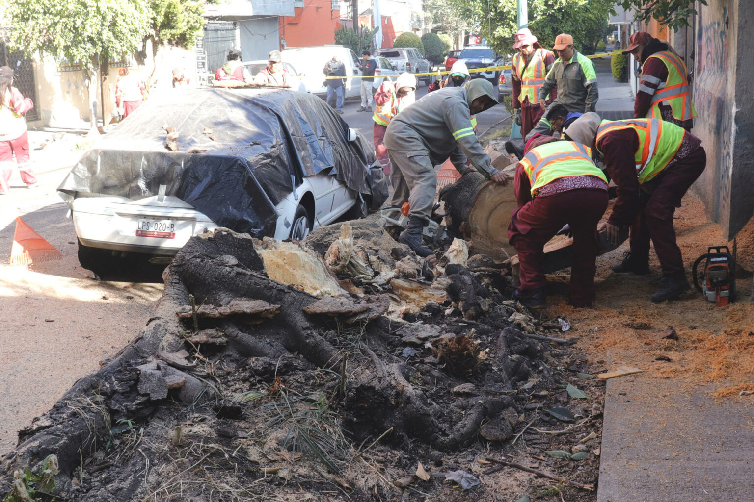 Fuerte sismo provoca la muerte de un hombre durante evacuación en Ciudad de México