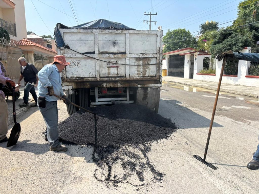 1-BACHEO-1024x768